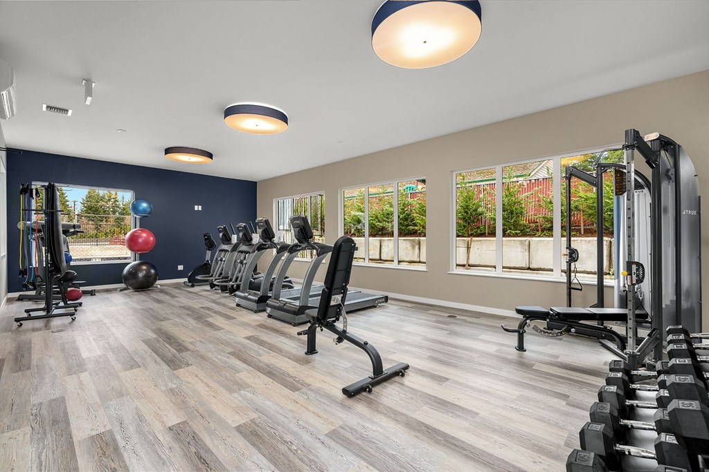 A gym with a row of treadmills and a row of dumbbells.