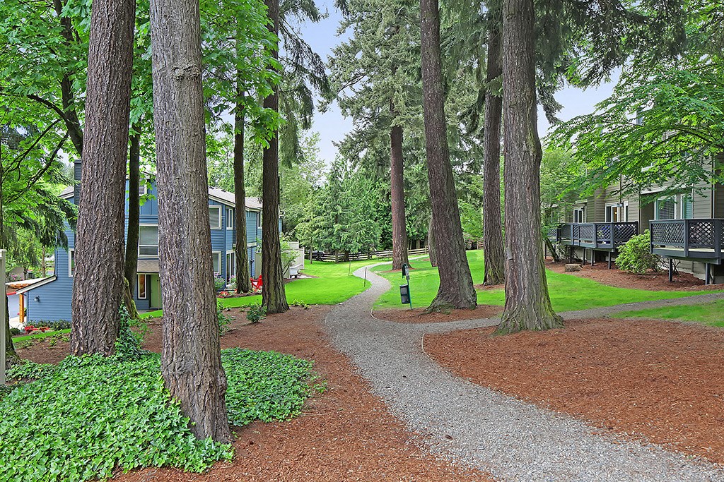 a pathway through the trees in a park