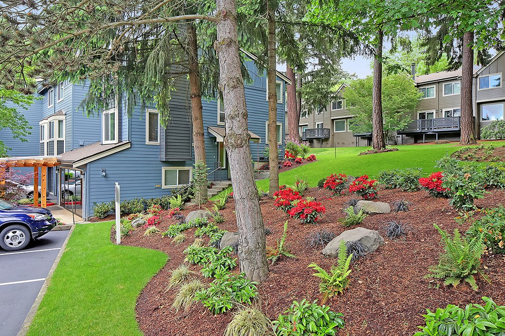 a landscaped yard with trees and plants in front of apartment buildings
