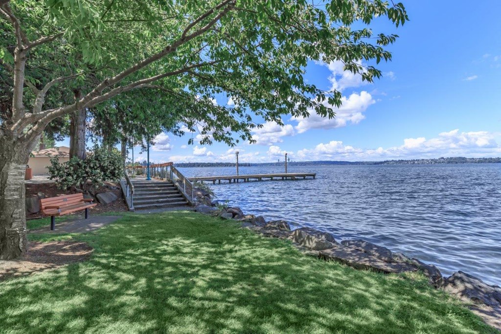 a park with a tree and a dock on the water