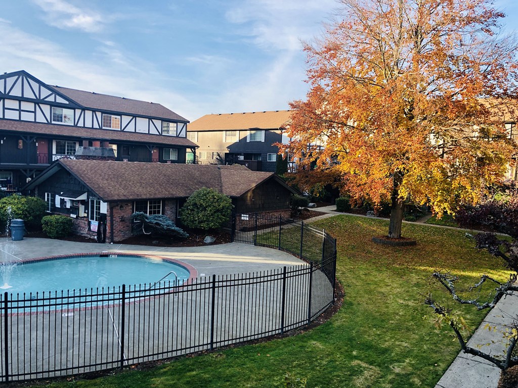 a house with a pool and a tree in the yard