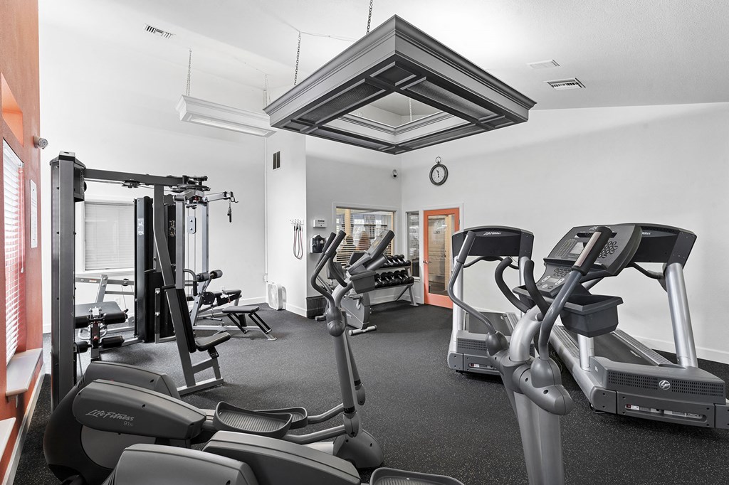 the gym is equipped with cardio equipment and weights