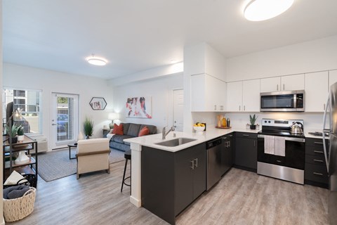a kitchen and living room with a sink and a counter