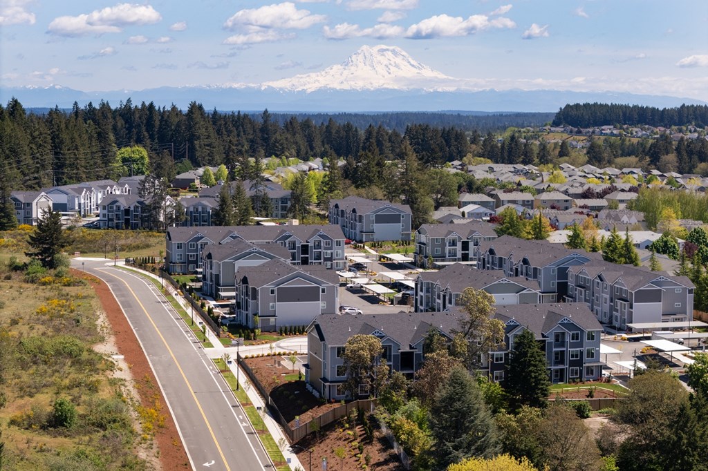 a city with a mountain in the background