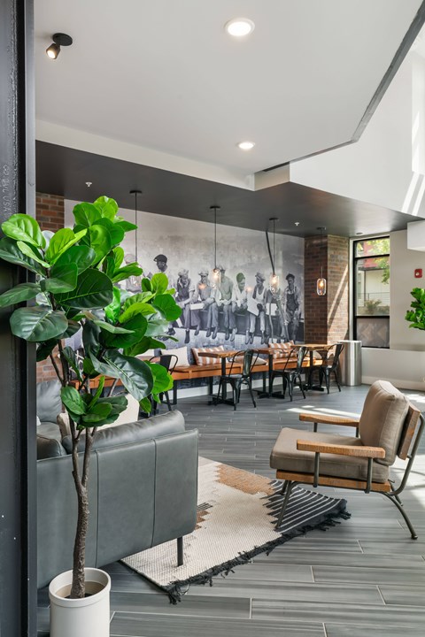 A living room with a grey couch and a potted plant.