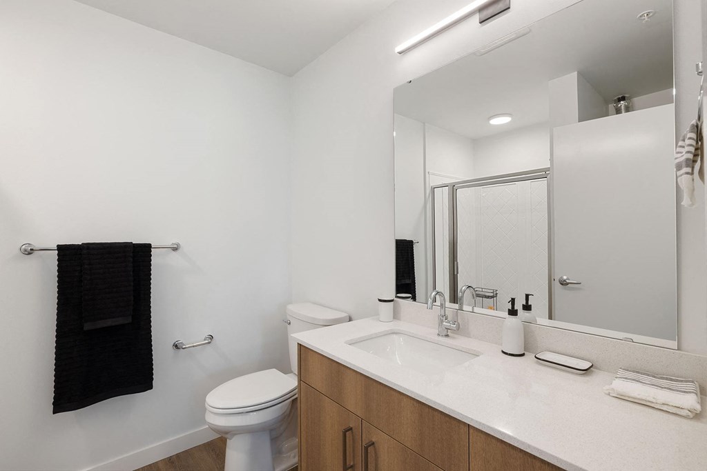 a bathroom with a sink and a toilet and a mirror