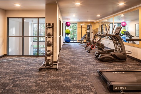 a gym with cardio machines and weights on a carpeted floor