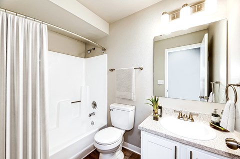 a bathroom with a shower toilet and sink and a mirror