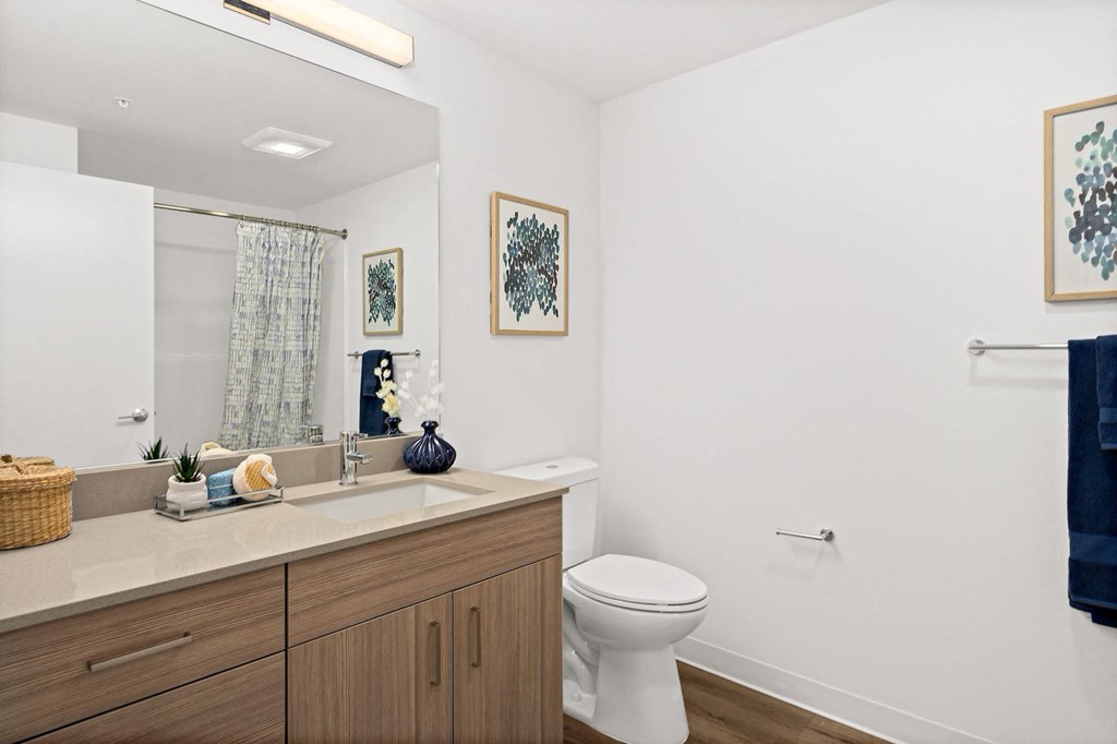 a bathroom with a sink and a toilet and a mirror