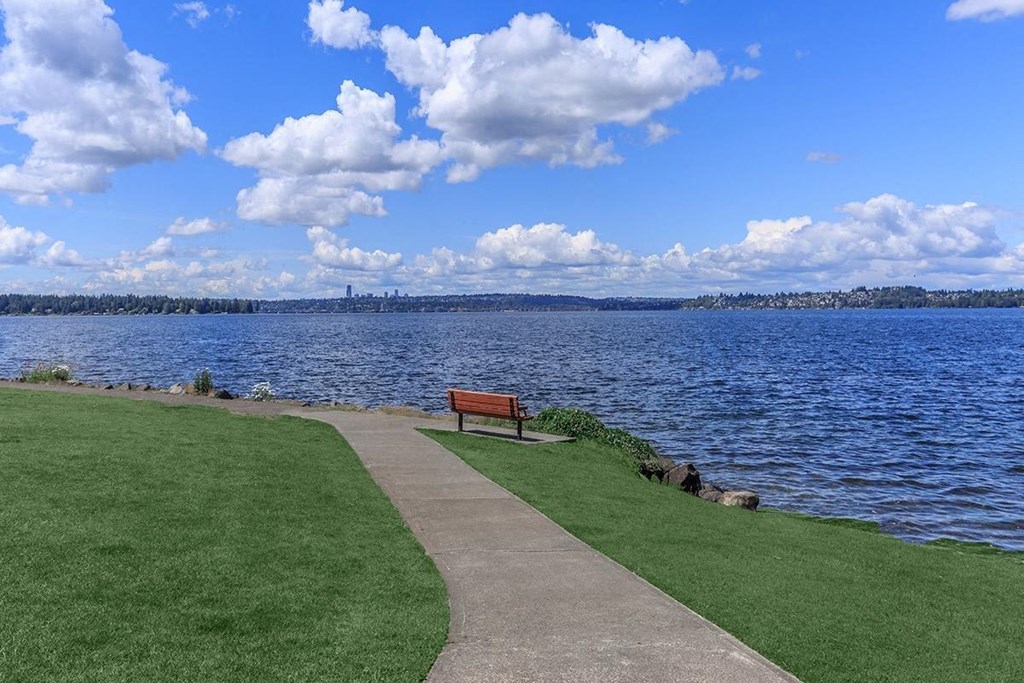 a park bench on a path next to a body of water