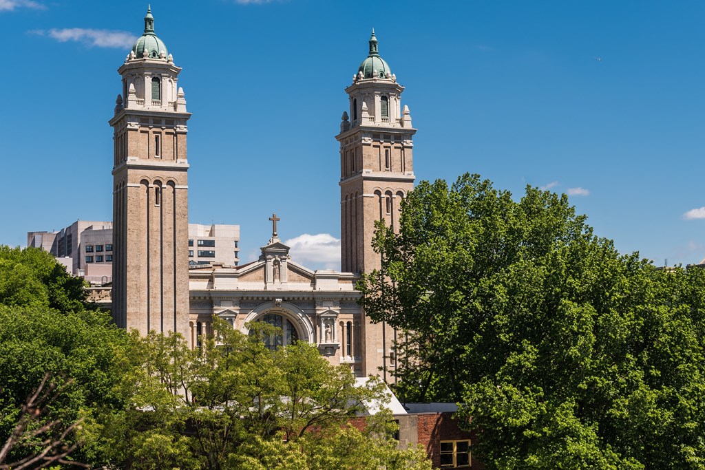 a city with two tall towers and trees in the foreground