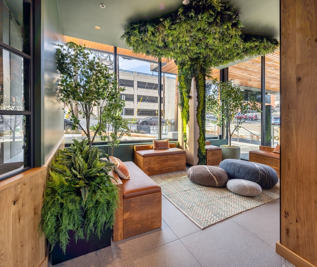 A modern living room with a green plant hanging from the ceiling.