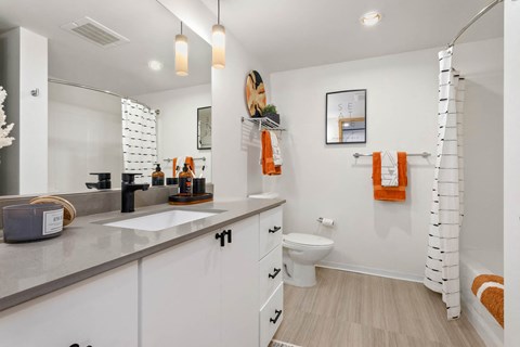 a bathroom with a sink and a toilet and a shower