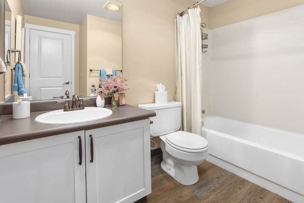 a bathroom with a sink toilet and a bath tub