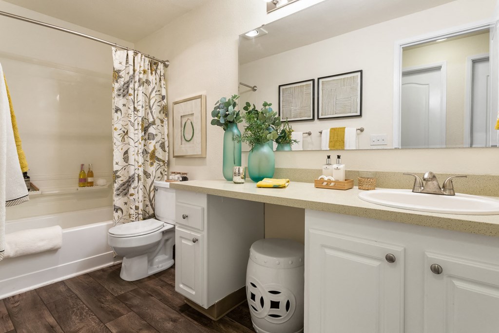 a bathroom with a sink and a toilet and a shower