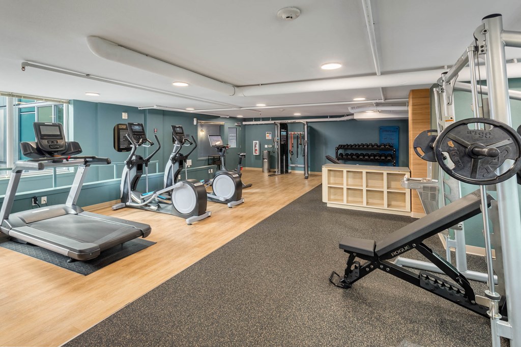 a gym with cardio equipment and weights on the floor