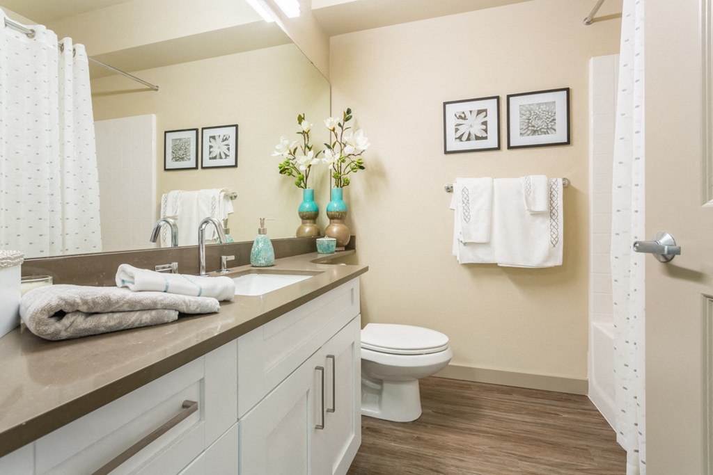 a bathroom with a sink and a toilet and a shower