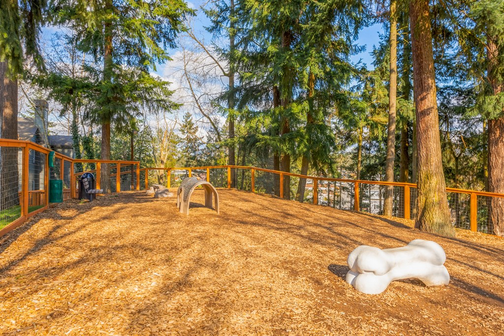 a backyard with a sandbox and a fence and trees