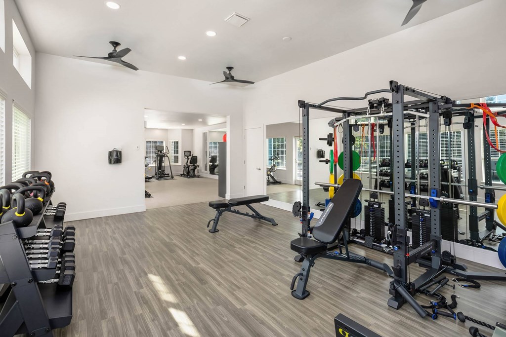 A spacious gym with a variety of equipment including a weight bench, a squat rack, and a rowing machine.