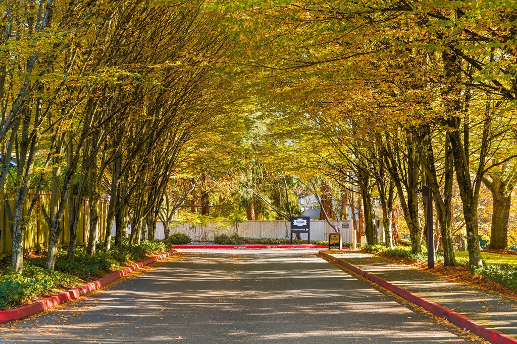 Scout Apartments, 10211 NE 134th Lane, Kirkland, WA RentCafe