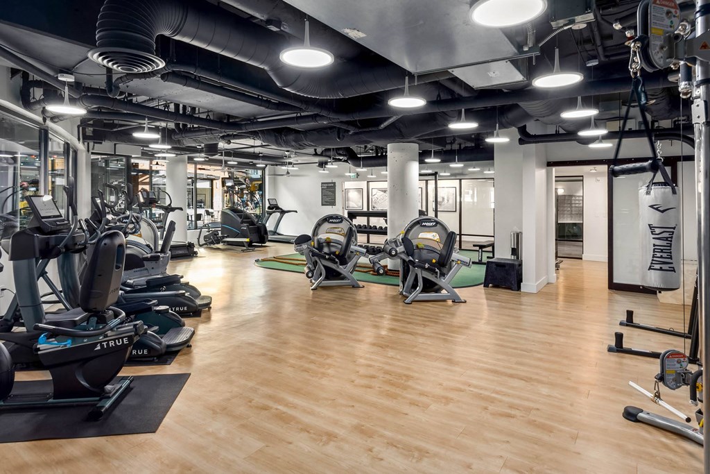 a large fitness room with treadmills and other exercise equipment