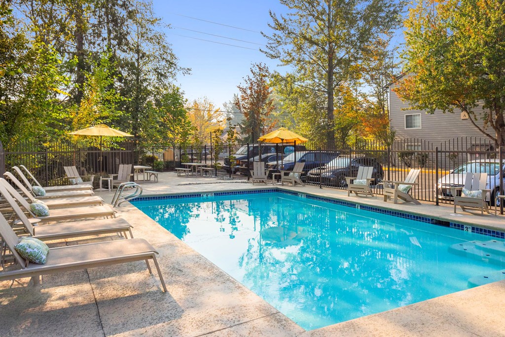 the swimming pool at our hotel