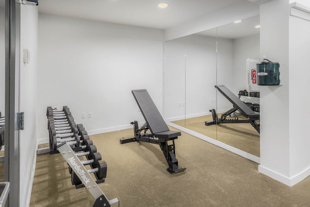 the gym in the owners home has treadmills and dumbbells