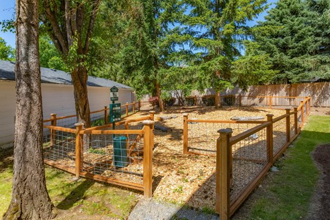 a fenced in area with trees and a house in the background
