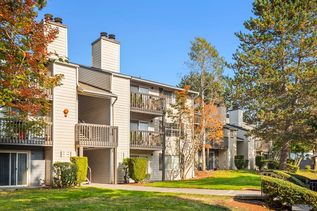 our apartments have a spacious courtyard with trees and grass