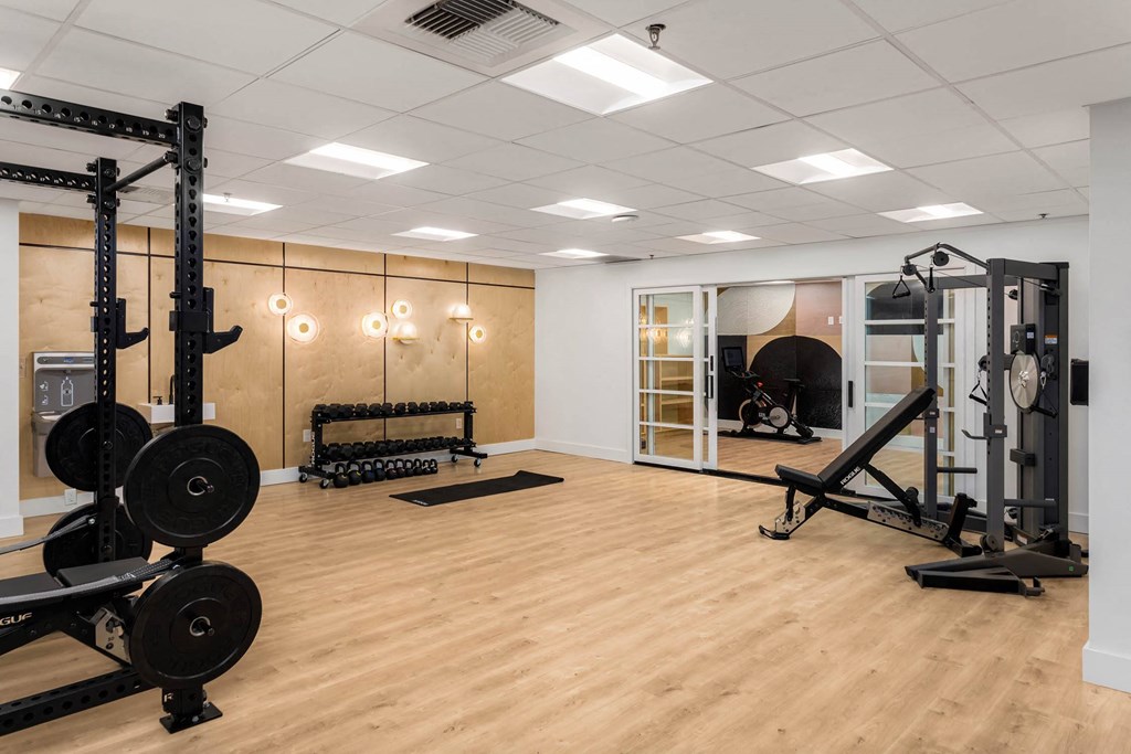 the gym is equipped with weights and other exercise equipment