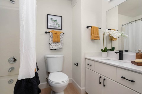 a bathroom with a white toilet next to a sink