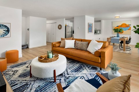 a living room with a brown couch and a blue and white rug