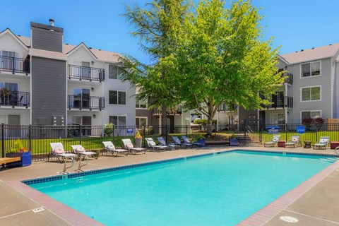our apartments offer a swimming pool