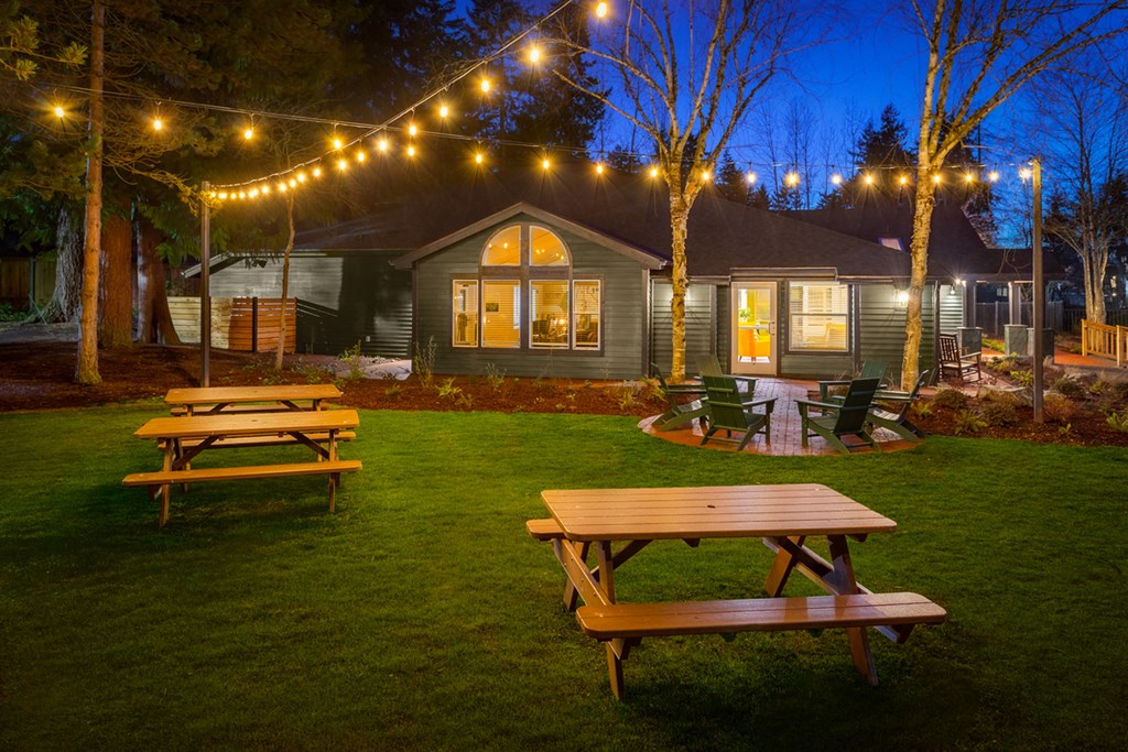 the back yard at night with picnic tables