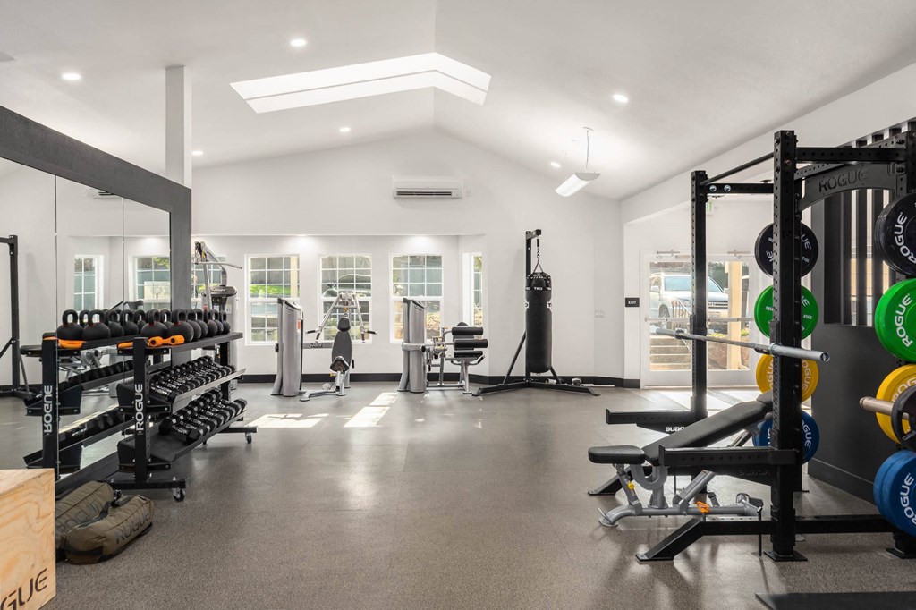 the gym at the flats at big tex apartments