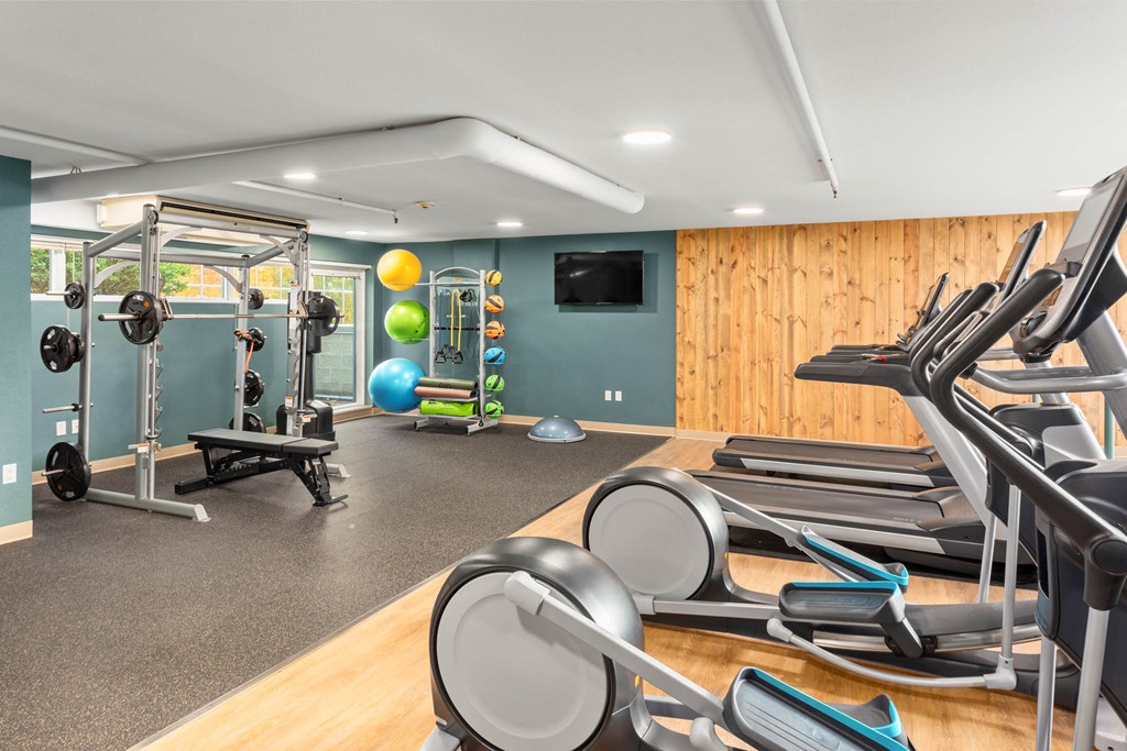 a gym with weights and cardio equipment and a tv