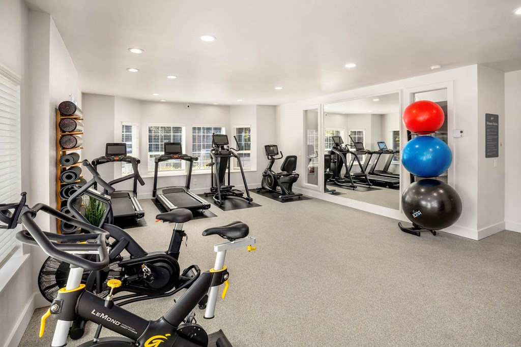 A well-equipped home gym with exercise equipment and mirrors.
