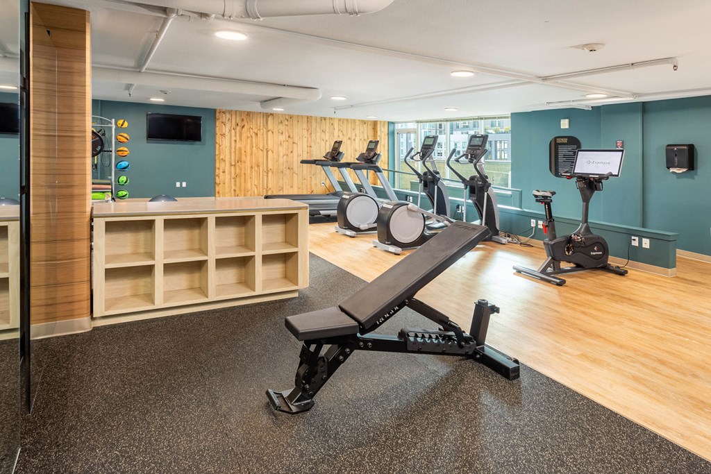 a gym with a row of exercise equipment on the floor