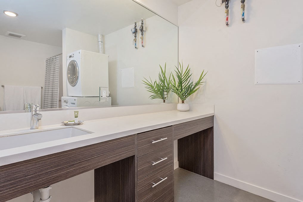 a bathroom with a sink and a mirror and a plant