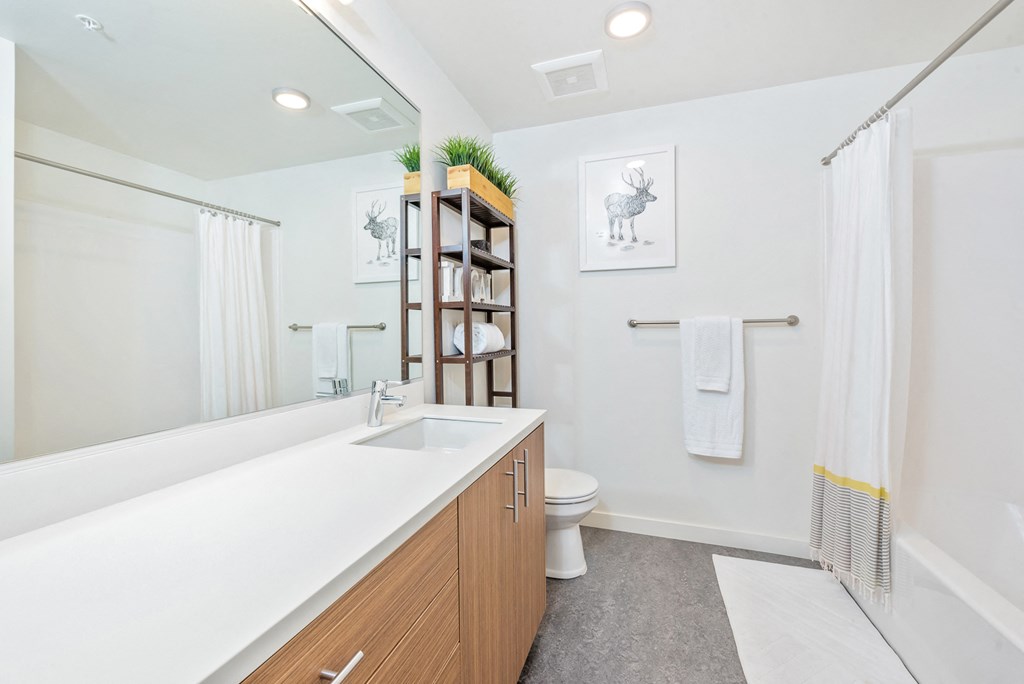 a bathroom with a sink and a toilet and a mirror