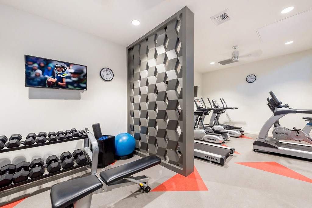 a gym with exercise equipment and a tv on the wall