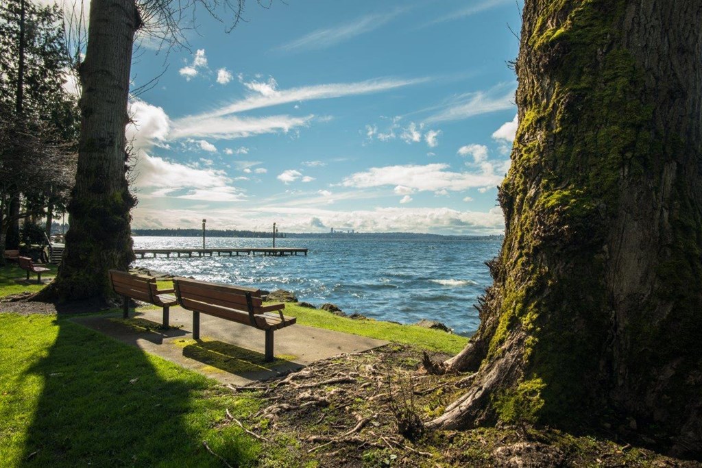 a park bench overlooking the water with a pier in the distance