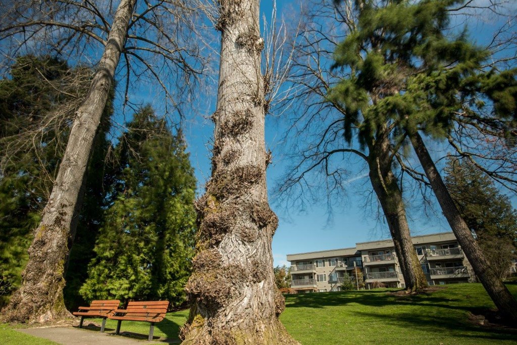 a park bench next to two trees in front of a building