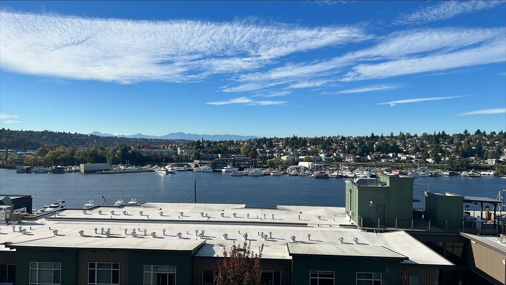 a view of the harbor and the city from a roof