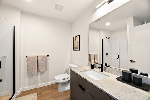 a bathroom with a sink and a toilet and a shower