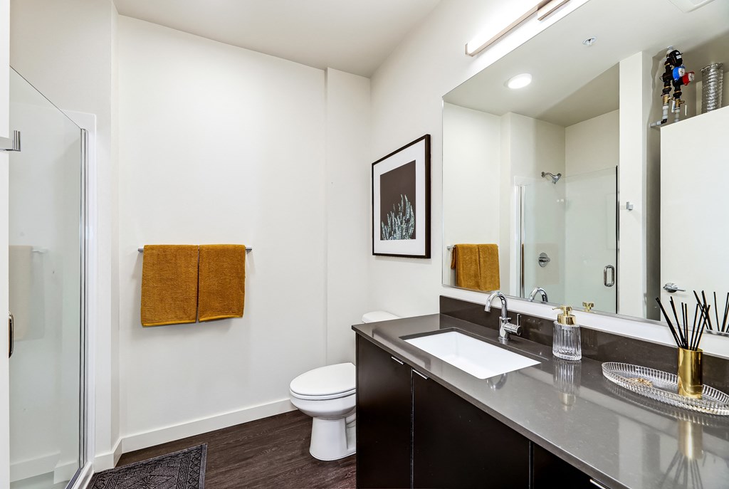 a bathroom with a sink and a toilet and a shower