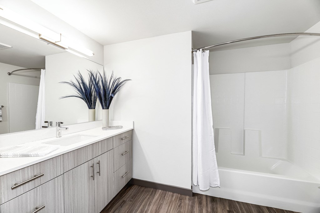 a bathroom with a shower and a sink and a mirror