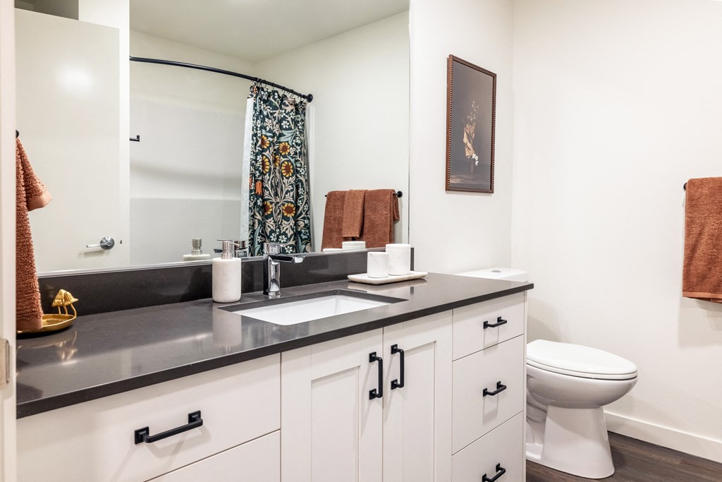 a bathroom with a sink and a toilet and a mirror