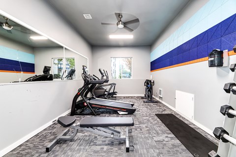 the point at bella grove apartment homes fitness room