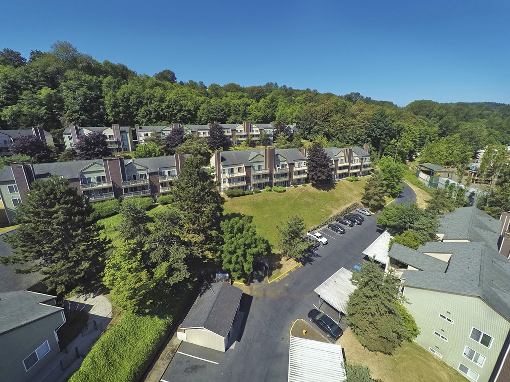 an aerial view of a neighborhood with houses and trees